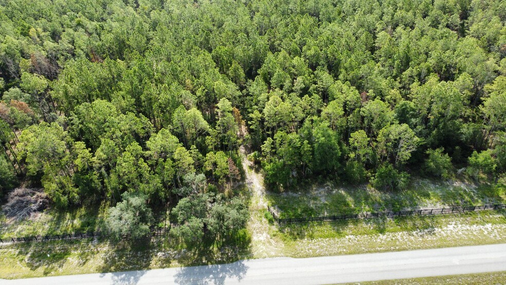 Primary Photo Of NE 353 Hwy, Cross City Land For Sale