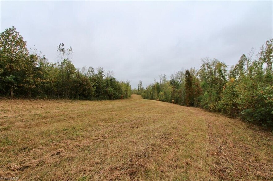 More Photos Of 2620 Minden, Pleasant Garden Land For Sale