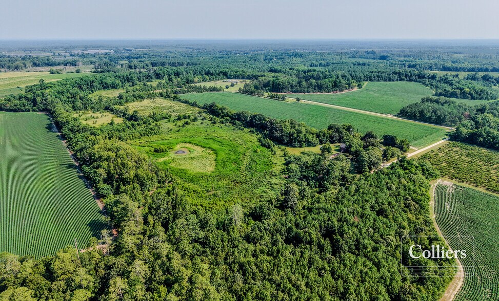 More Photos Of Joes Trail, Monetta Land For Sale