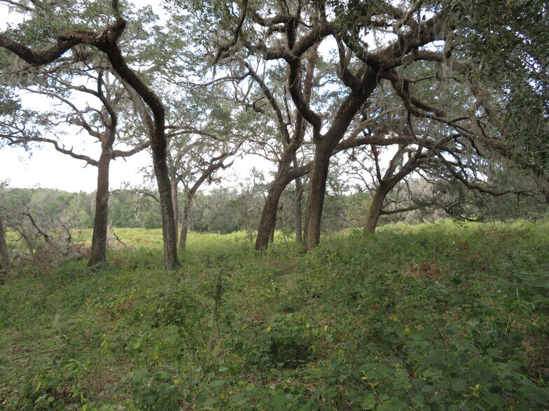 More Photos Of 14451 Curley Rd, Dade City Land For Sale