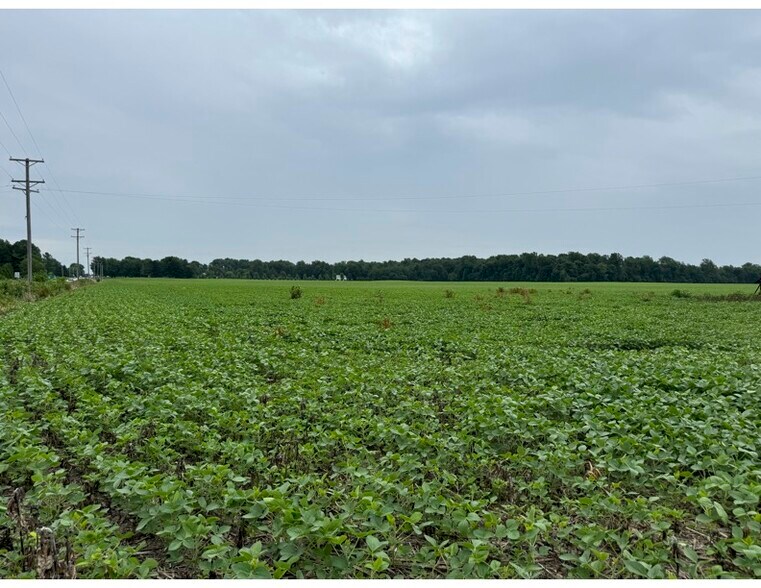 More Photos Of 12980 N. FOSTORIA RD., Bradner Land For Sale