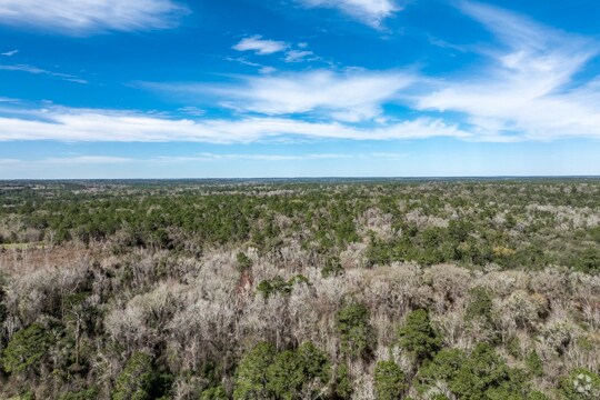 More Photos Of , Tallahassee Land For Sale