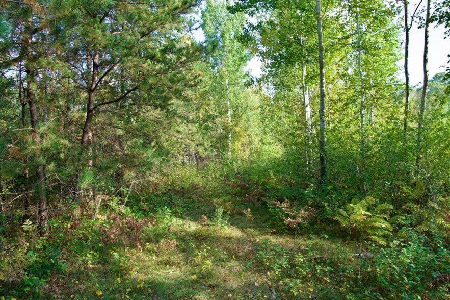 More Photos Of 371 Hwy, Brainerd Land For Sale