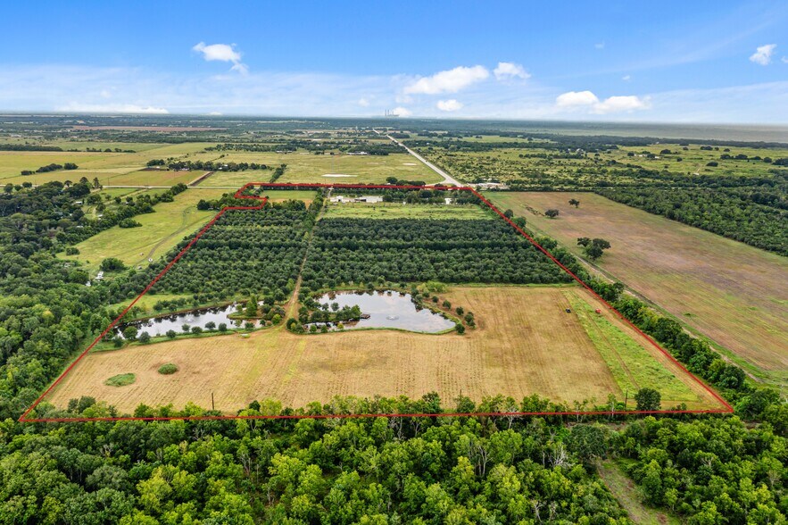 More Photos Of 23111 FM 1462 Rd, Damon Land For Sale