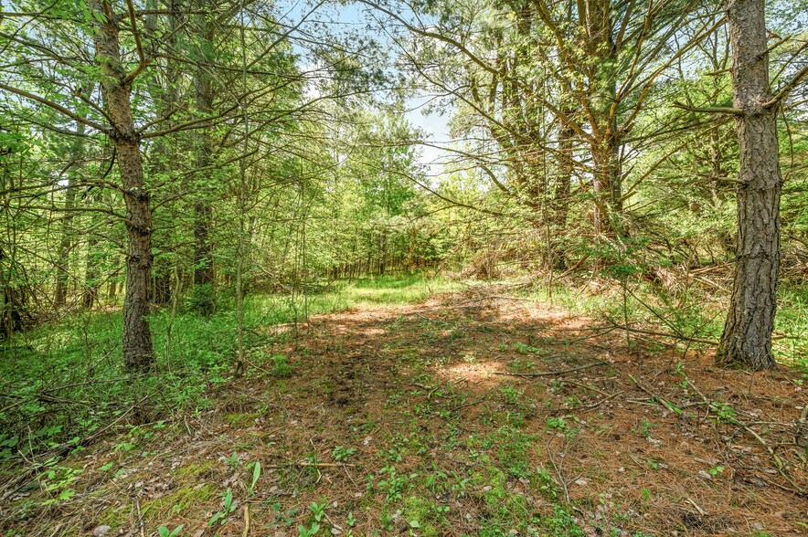 More Photos Of V/L 220th Ave, Big Rapids Land For Sale