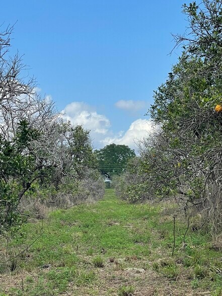 More Photos Of 16982 SE Highway 42, Weirsdale Land For Sale