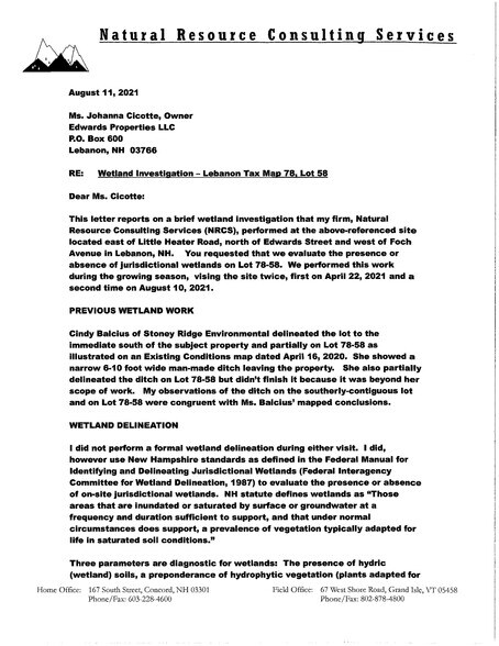 More Photos Of 5 Edwards St, Lebanon Land For Sale