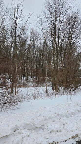 More Photos Of 0 Ann Arbor Rd, Jackson Land For Sale