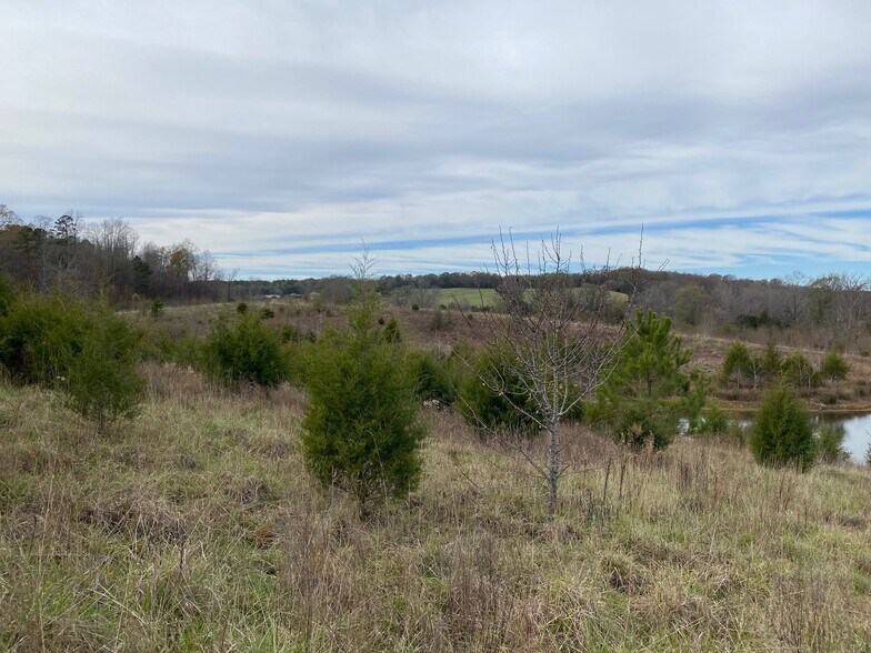 More Photos Of 1486 Martin Road, Ware Shoals Land For Sale