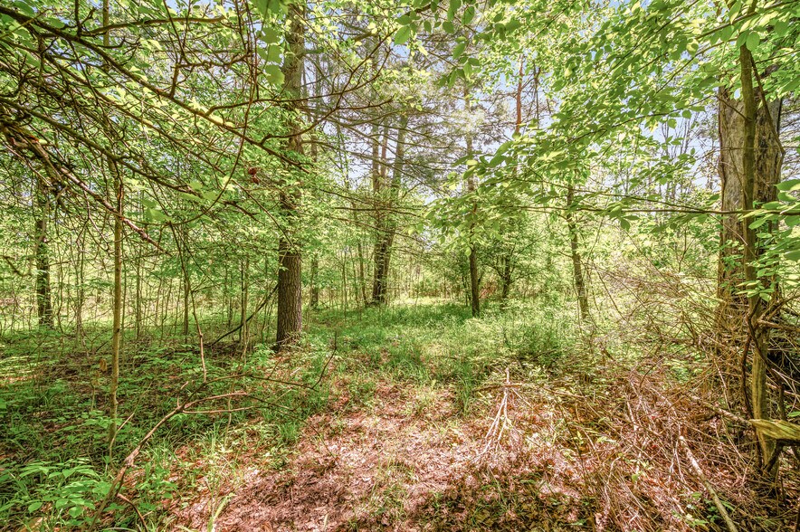 More Photos Of V/L 220th Ave, Big Rapids Land For Sale