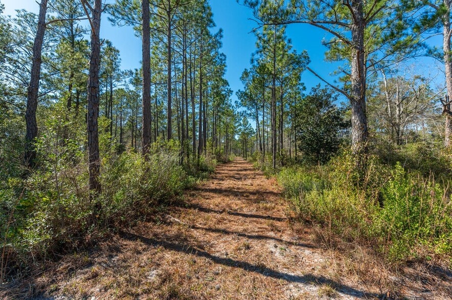 More Photos Of Hwy 331 S & Jolly Bay Road, Freeport Land For Sale