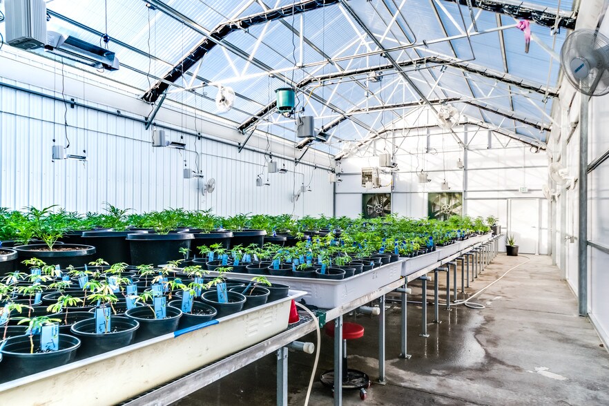 More Photos Of 40444 Bush Rd, Avondale Specialty For Sale