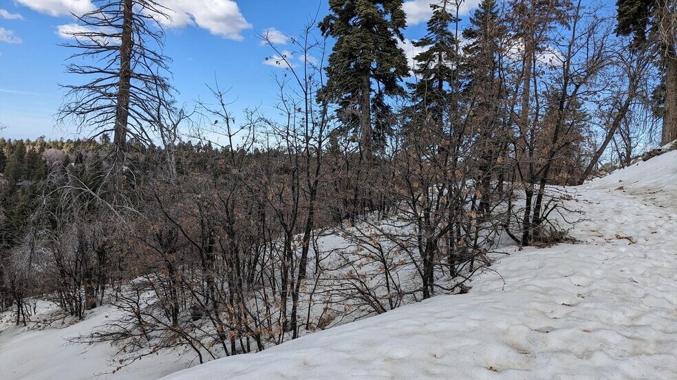 More Photos Of 0 San Antonio, Green Valley Lake Land For Sale