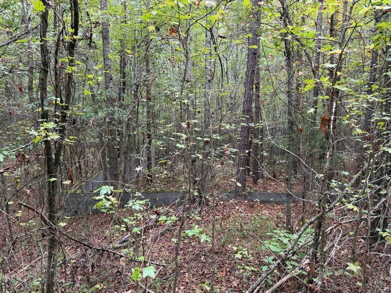 More Photos Of Colquitt Rd, Cedartown Land For Sale