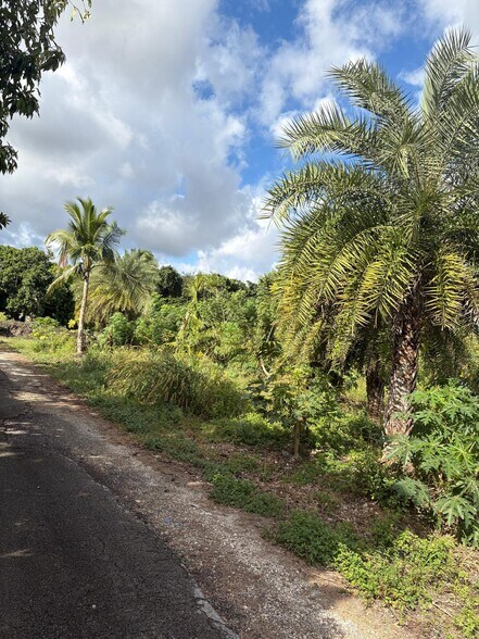 More Photos Of 12351 SW 177th Ave, Miami Land For Sale