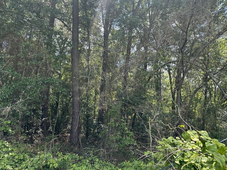 More Photos Of 4102 Van Hwy, Tyler Land For Sale