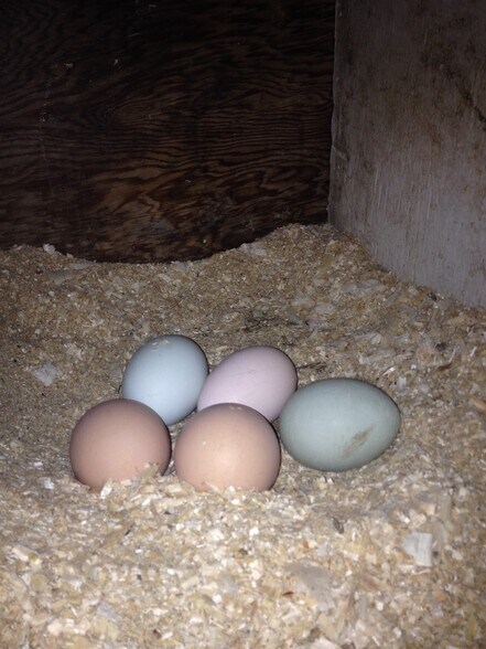 More Photos Of 399 Depot St, Proctorsville Hospitality For Sale