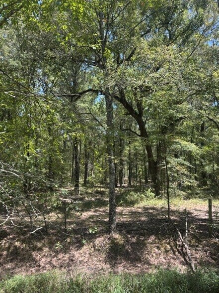 More Photos Of Elm Grove, Elm Grove Land For Sale