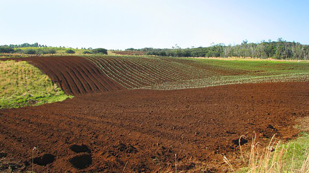 More Photos Of 27-5159 Puia Rd, Papaikou Land For Lease