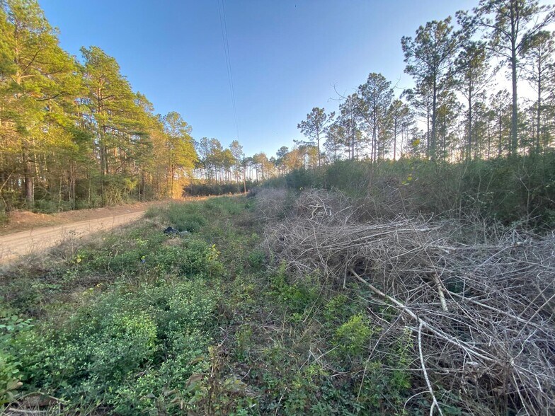 More Photos Of 395 Nettles rd, Livingston Land For Sale