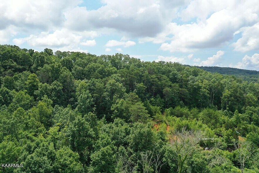 More Photos Of 220 Milldale Rd, Dandridge Land For Sale