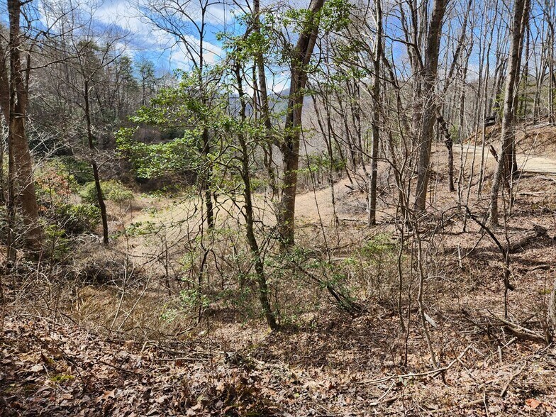 More Photos Of 00 Camp Branch Rd, Topton Land For Sale