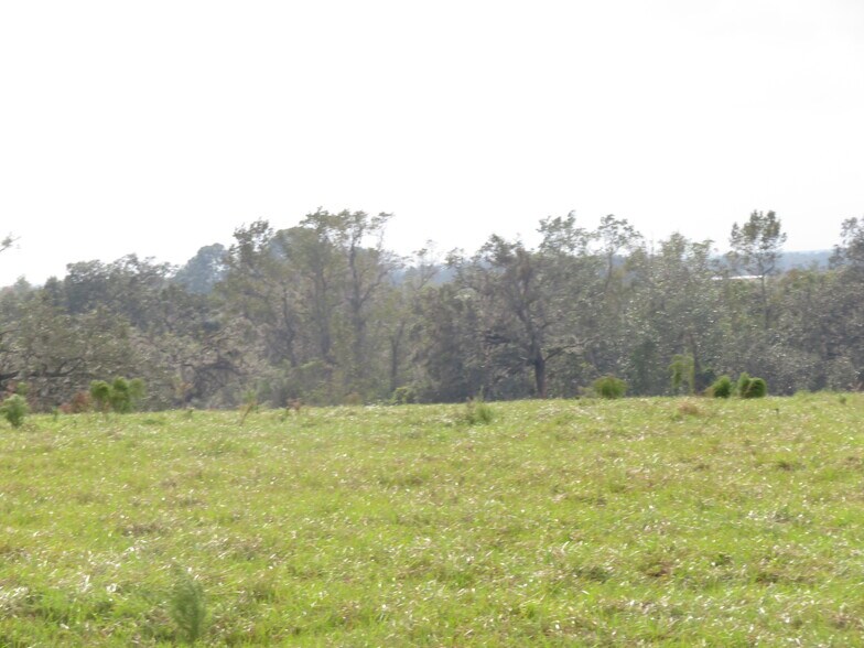 More Photos Of 14451 Curley Rd, Dade City Land For Sale