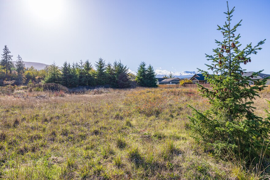 More Photos Of 190 Maliandra dr, Sequim Land For Sale