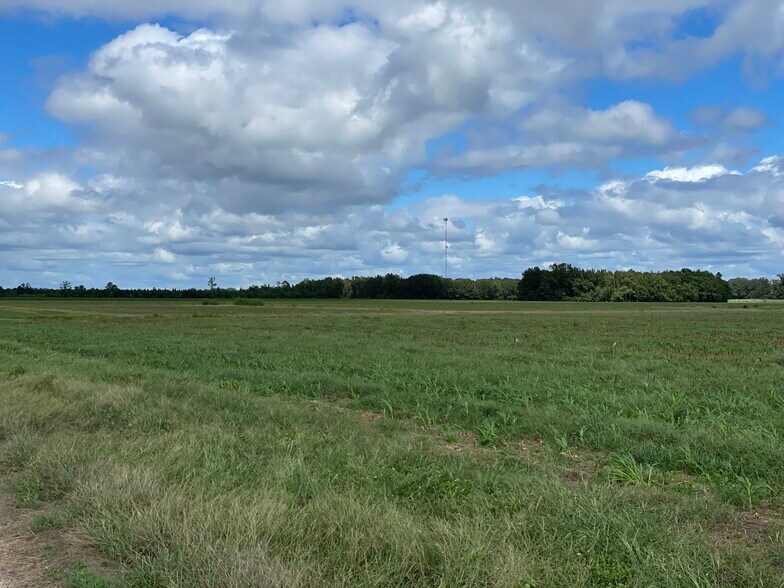 More Photos Of 5700 Pine Forest Rd, Walnut Hill Land For Sale