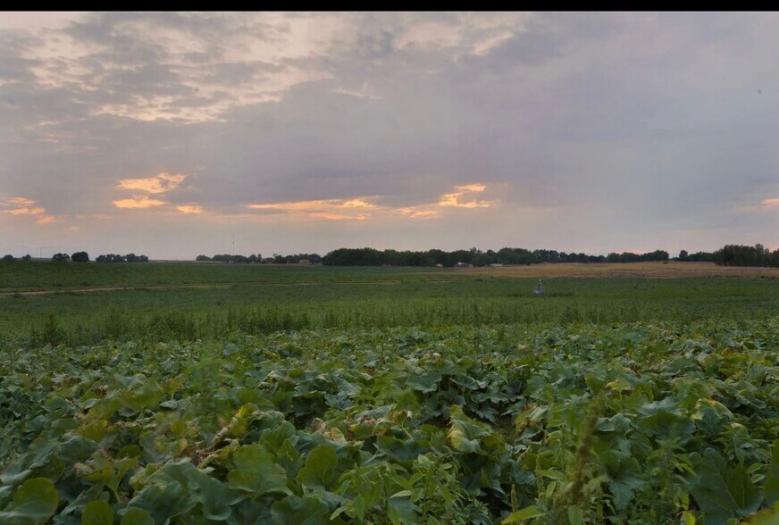 More Photos Of 18437 County Road 8, Brighton Land For Sale