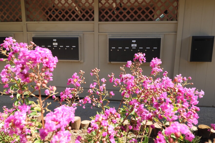 More Photos Of 2305 Cheim Blvd, Marysville Apartments For Sale