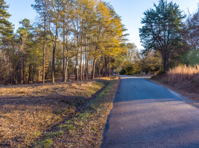 Primary Photo Of 0 Marshall Tucker Rd, Pauline Land For Sale