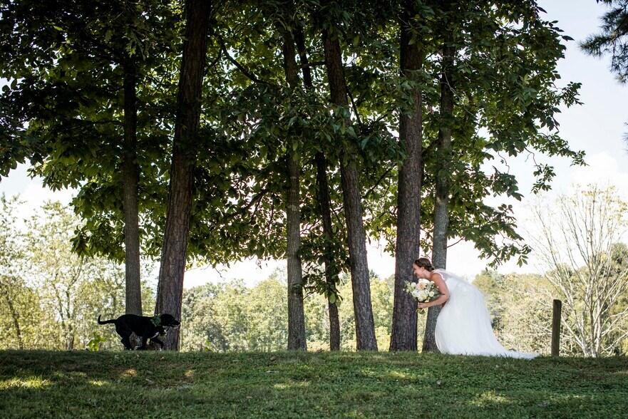 More Photos Of 305 Sluder Branch Rd, Leicester Land For Sale