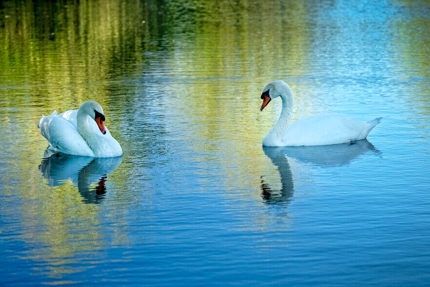 More Photos Of 3900 Holland Rd loop, Cave Junction Winery Vineyard For Sale