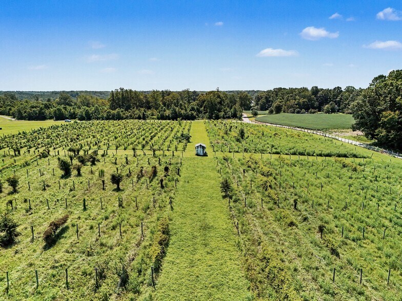 More Photos Of 495 Meadow Landing Ln, Caret Winery Vineyard For Sale