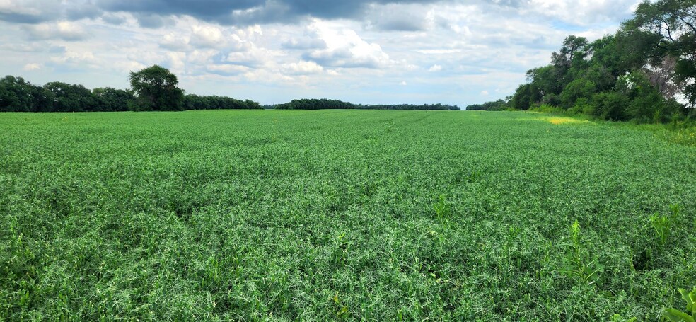 More Photos Of TBD US HIGHWAY 83, Bismarck Land For Sale