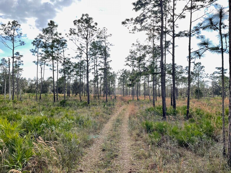 More Photos Of 19858 State Road 52, Land O' Lakes Land For Sale