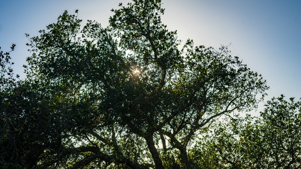 More Photos Of 21 Long Canyon, Santa Maria Land For Sale