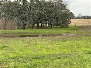 More Photos Of 1408 State Park Rd, Lockhart Land For Sale