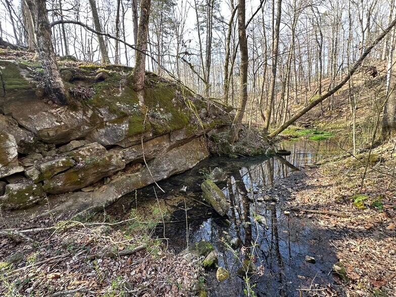 More Photos Of 7312 Highway 60, Georgetown Land For Sale