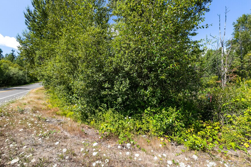 More Photos Of 115-155 Tremont Ave, Bellingham Land For Sale