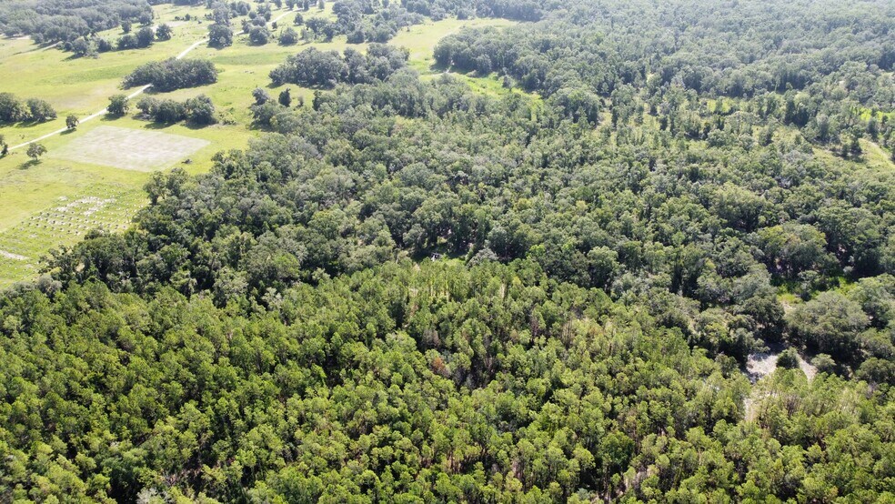 More Photos Of NE 353 Hwy, Cross City Land For Sale