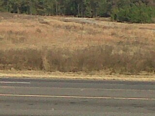 More Photos Of HIGHWAY 231 S, Troy Land For Sale