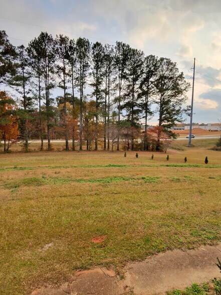 More Photos Of 115 Frog Rd, Locust Grove Land For Sale