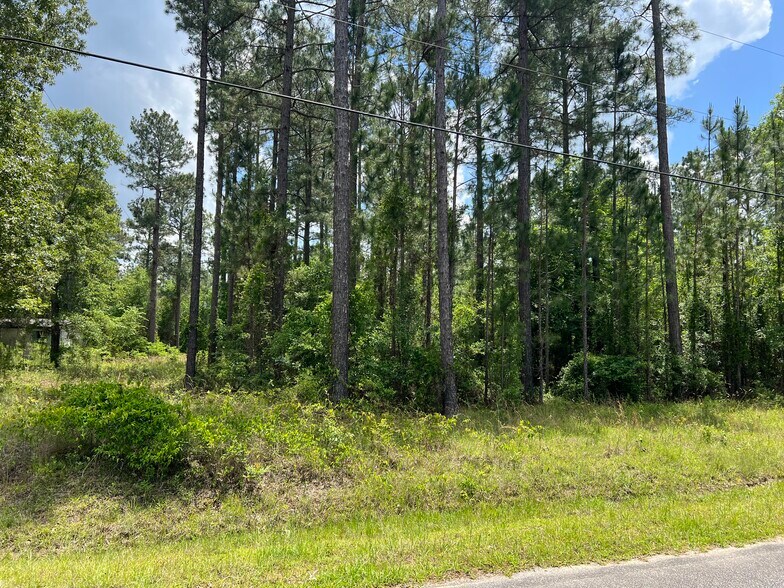 More Photos Of Rock Hill rd, Cochran Land For Sale