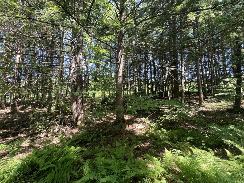 More Photos Of 155 Route 103, Warner Office Residential For Sale