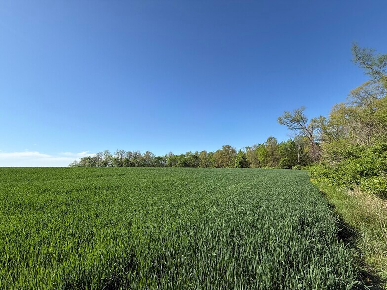 More Photos Of Vandebrook Dr, Waterloo Land For Sale
