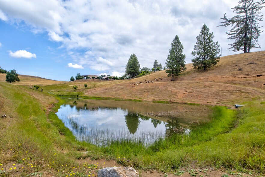 More Photos Of 7279 Mountain Ranch, Mountain Ranch Land For Sale