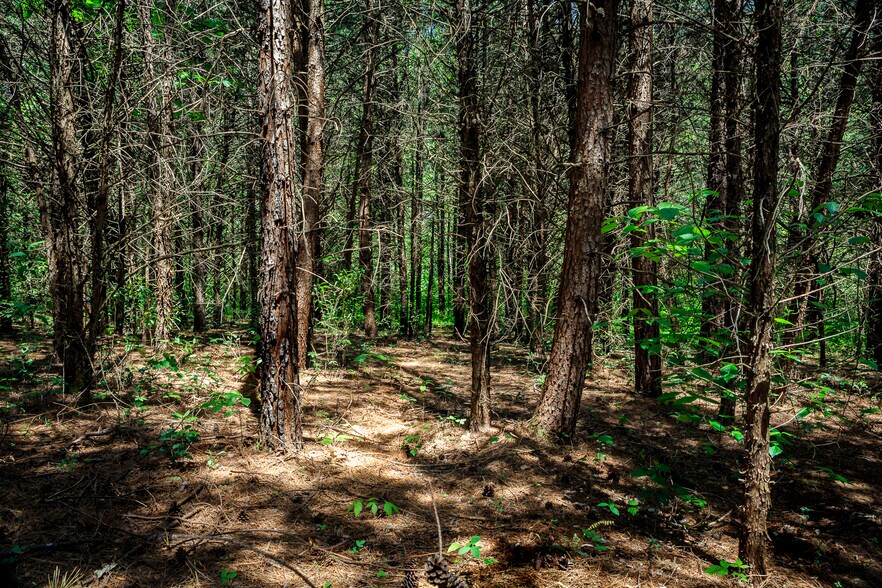 More Photos Of 1245 Carpenters Mill Rd, Ruckersville Land For Sale