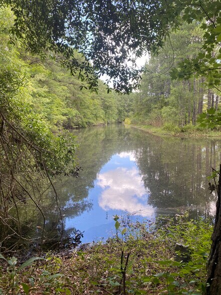 More Photos Of 4390 Fraser st, Georgetown Land For Sale